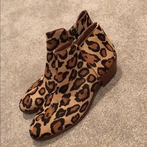 Sam Edelman Cheetah booties